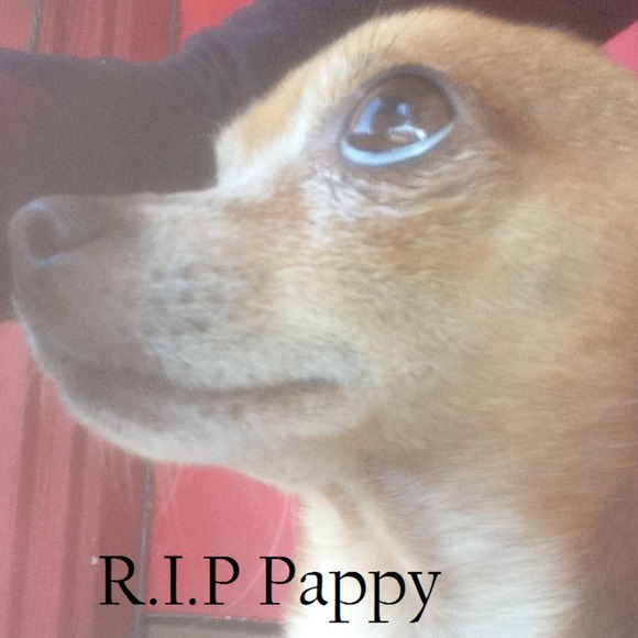 sofiapappy